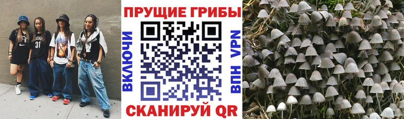 Галлюциногенные грибы мицелий Красавино