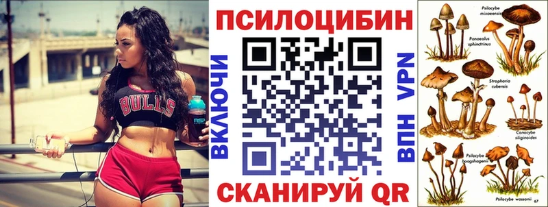купить сайты Красавино Псилоцибиновые грибы прущие грибы